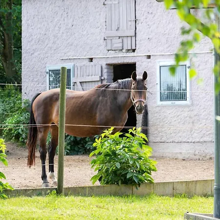 Familien Lucky Bei Kuehlungsborn Ofc 08 Apartmán Diedrichshagen (Kropelin)