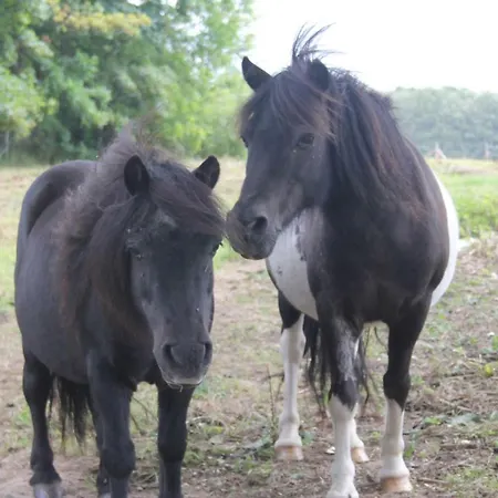 Familien Lucky Bei Kuehlungsborn Ofc 08 *