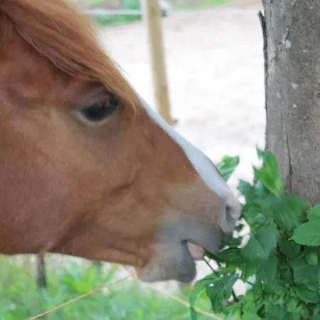 Familien Lucky Bei Kuehlungsborn Ofc 08 Apartmán *