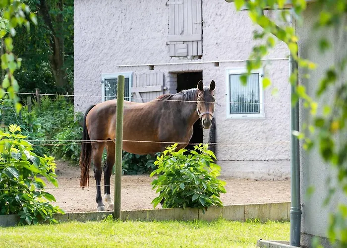 Familien Lucky Bei Kuehlungsborn Ofc 08 Appartement Diedrichshagen (Kropelin)